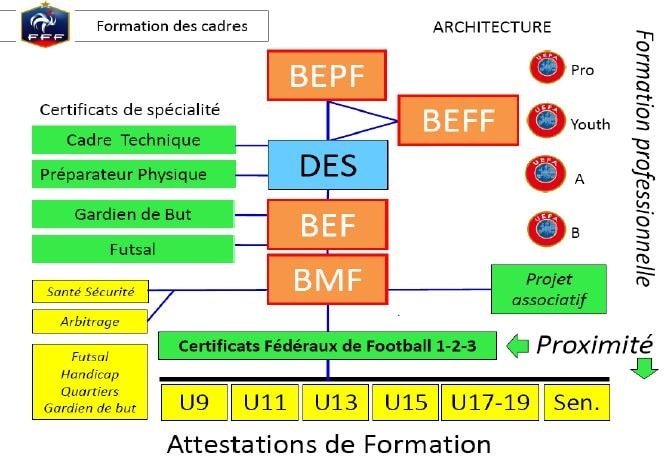 découvrez tout ce qu'il faut savoir sur les indemnités de formation pour les footballeurs. informez-vous sur les règles, les montants et les bénéfices liés à la formation des jeunes talents dans le monde du football.