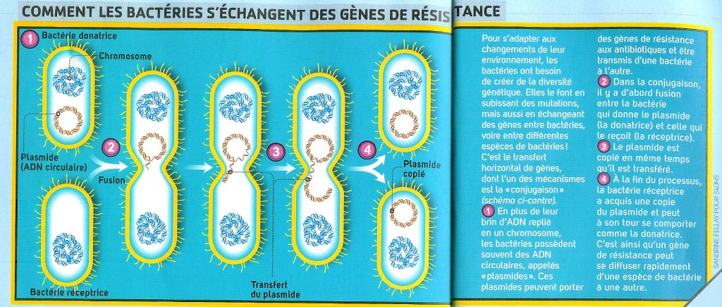 découvrez le service de transfert truffert, votre solution idéale pour des déplacements fluides et confortables. profitez d'un transport fiable, personnalisé et adapté à vos besoins pour des trajets réussis. réservez dès maintenant et vivez une expérience de voyage sans soucis.