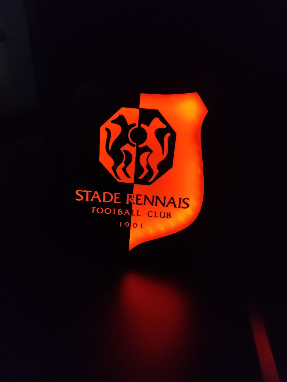 découvrez le stade rennais, club élite reconnu pour son excellence en formation de jeunes talents et son engagement dans le football professionnel.