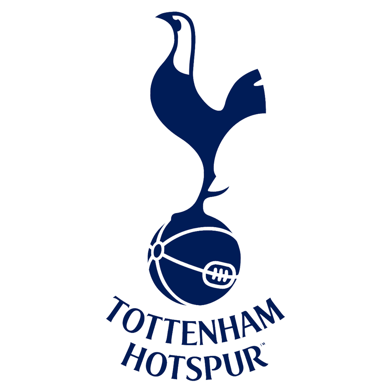 tottenham s'apprête à renforcer son équipe avec la signature d'un ailier prometteur pour un transfert d'environ 65 millions de livres.